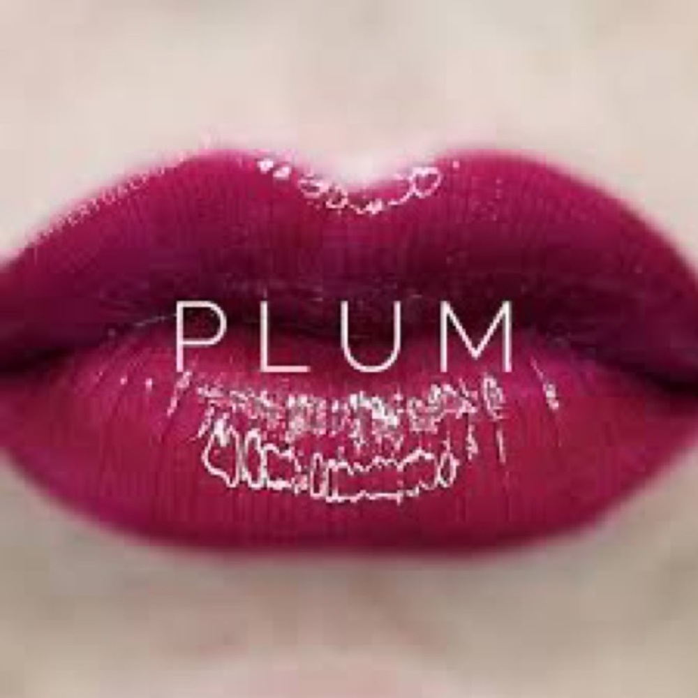 ❤️HP❤️ Lipsense by Senegence. Shade: Plum. NWT.